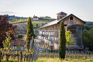 Gradierbau (salines) dans les jardins de la station thermale de Bad Dürkheim avec vue sur la chapell sur Fabian Bracht