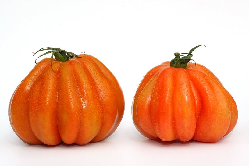 De Boeuf von Jolanta Mayerberg