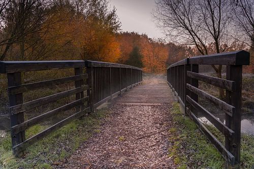 Autumnal wooden bridge in Allerpark