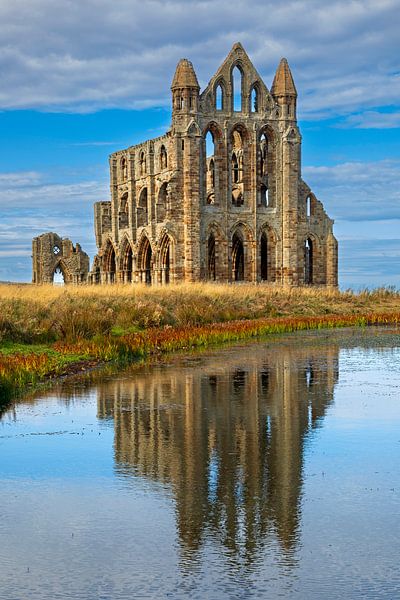 Abbaye de Whitby, Whitby, North Yorkshire, Angleterre, Royaume-Uni par Arch White
