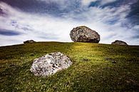 Rock on top. by Freddy Hoevers thumbnail