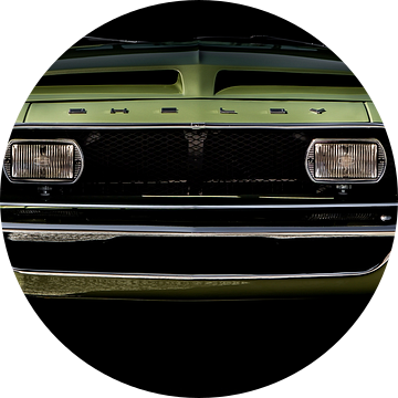 Ford Mustang  van marco de Jonge