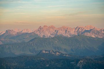 Trettaachspitze und Allgäuer Alpen zum Sonnenuntergang vom Hochgrat aus