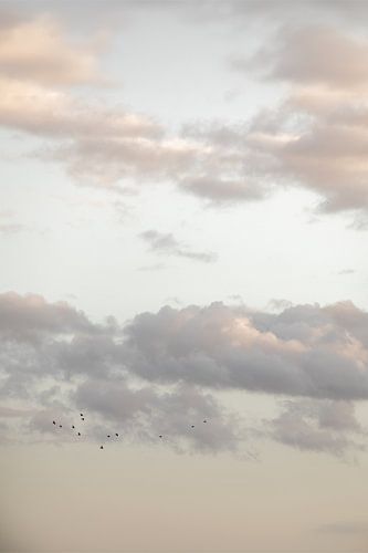 Ciel pastel 13