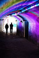 tunnel of love