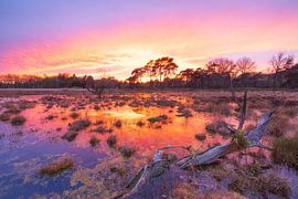 Sunset Schipborg - Drenthe (Netherlands) by Marcel Kerdijk
