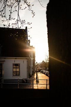 Golden hour in Haarlem by Bas de Glopper