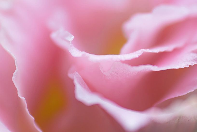 Kanten randje.... van Monique van Helden