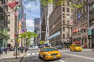 MANHATTAN 5th Avenue von Melanie Viola Miniaturansicht