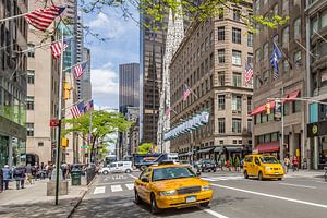 MANHATTAN 5th Avenue van Melanie Viola