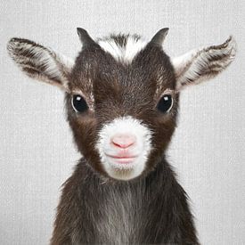 Geitje van Gal Design