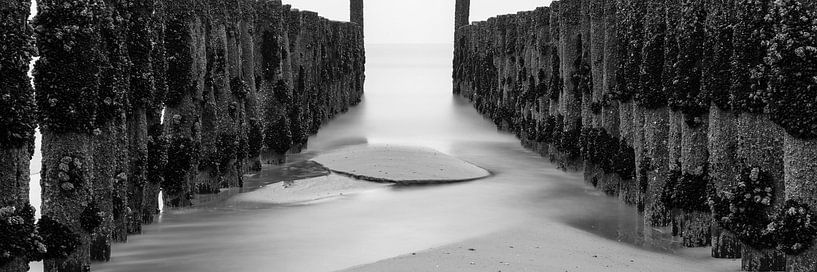 North Sea by Jeroen Jongeneelen