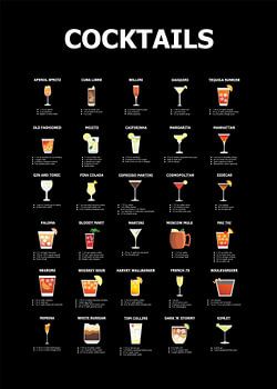 30 Cocktails Leitfaden
