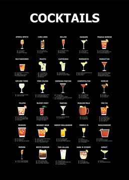 30 cocktails gids van Ratna Mutia Dewi