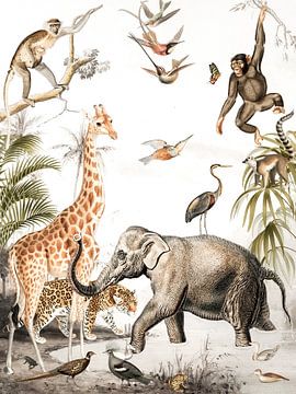 Wilde Tiere Poster Kinderzimmer von Evavisser
