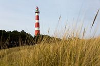 Leuchtturm von Ameland von Gea de Boer Miniaturansicht
