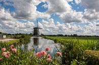 Windmill in the Driemanspolder Leidschendam during a summer day - Netherlands by Jolanda Aalbers thumbnail