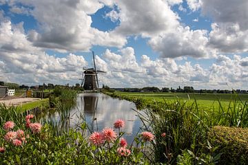 Moulin à vent dans le Driemanspolder Leidschendam par une journée d'été - Pays-Bas