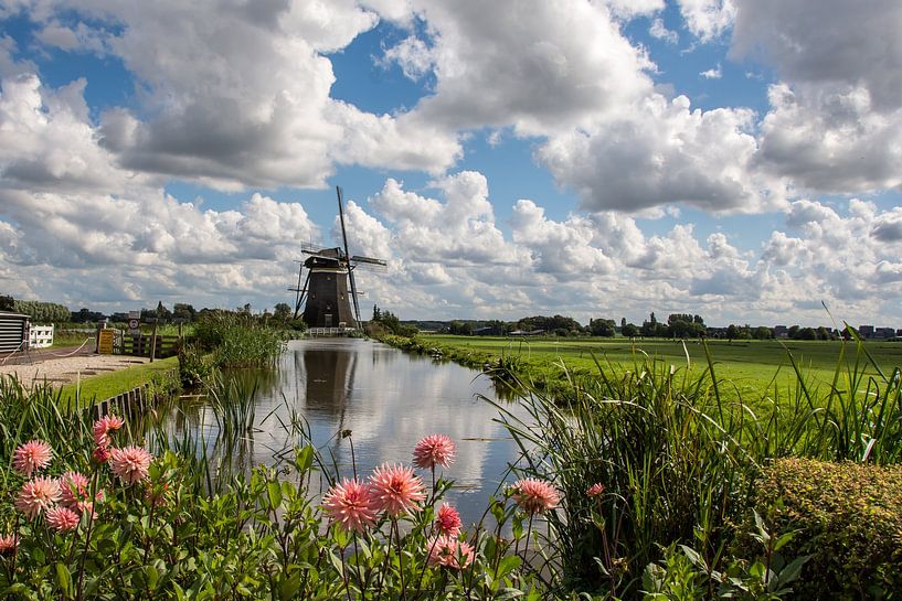 Windmill in the Driemanspolder Leidschendam during a summer day - Netherlands by Jolanda Aalbers
