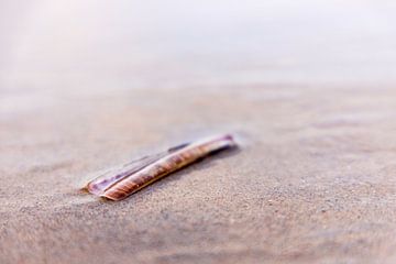 Rasierapparat am Strand von Everydayapicture_byGerard  Texel