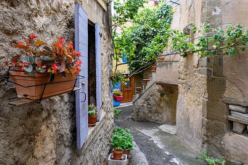 Lilac window shutters in France