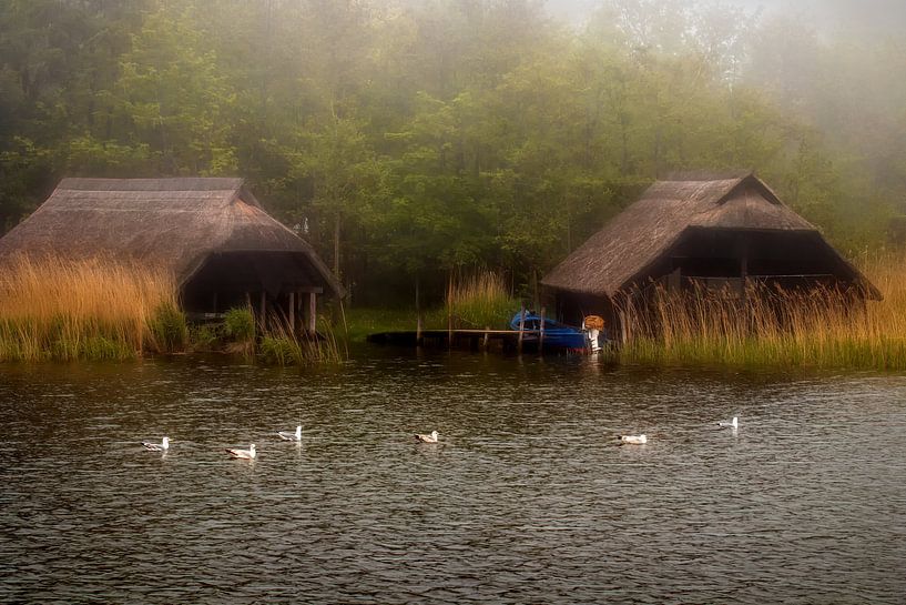 FISCHLAND-DARSS-ZINGST Prerow - foggy day by Bernd Hoyen