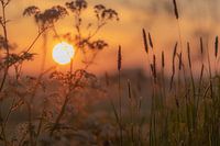 sonniger Frühlingsmorgen