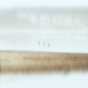 Am See