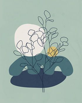 Eukalyptusbaum am Abend