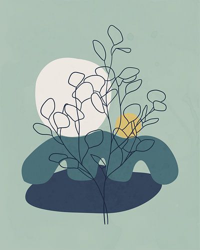 Eucalyptusboom in de avond