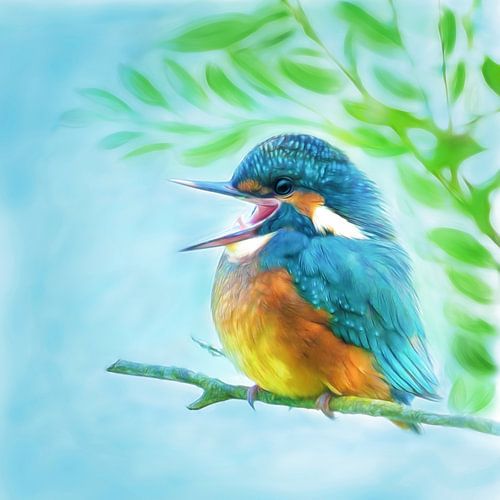 cute kingfisher