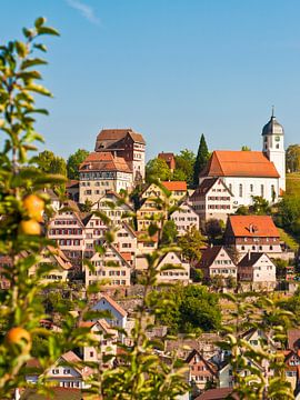 Altensteig im Schwarzwald von Werner Dieterich