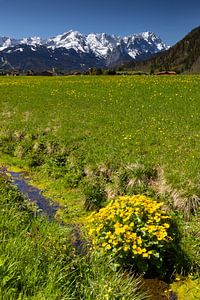 Blick von Farchant zur Zugspitze