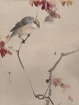 Watanabe Seitei - Bird on a branch watching a spider (1887) by Peter Balan