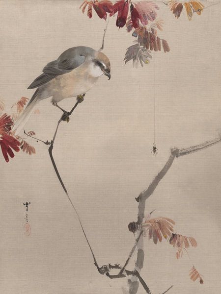 Watanabe Seitei - Bird on a branch watching a spider (1887) by Peter Balan