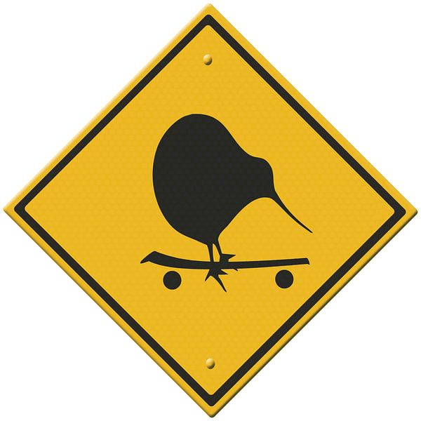 Kiwi sk8er chick. van Grüntyers .