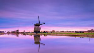 le vol de chevaux d'Alkmaar sur Maurice Hoogeboom