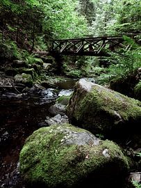 Gorges de la Ravenna en Forêt-Noire sur Marc Lehmann