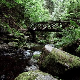 Ravennaschlucht im Schwarzwald von Marc Lehmann