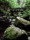 Ravennaschlucht im Schwarzwald von Marc Lehmann Miniaturansicht