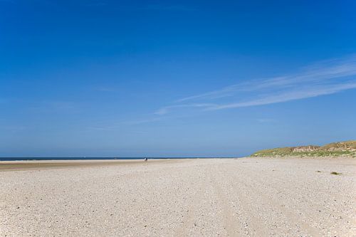 Beach of Texel