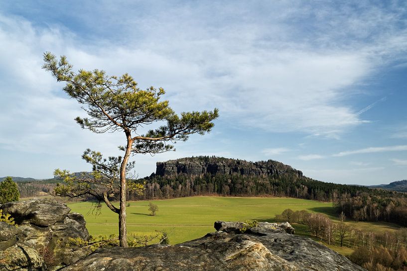 Elbsandsteingebirgebirge - Vue de la montagne "Quirl par Ralf Lehmann