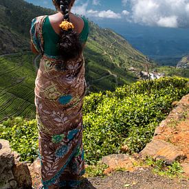 Teepflückerin in Sri Lanka von Corrie Ruijer