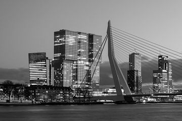 Erasmusbrücke Die Rotterdam von Havenfotos.nl(Reginald van Ravesteijn)