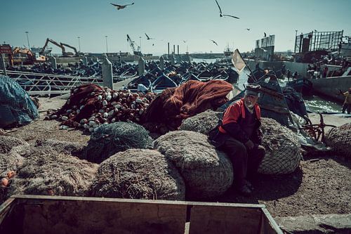 Haven in Essaouira, Marokko