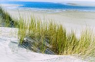 Strand en duinen Ameland van Sanneke Kortbeek thumbnail