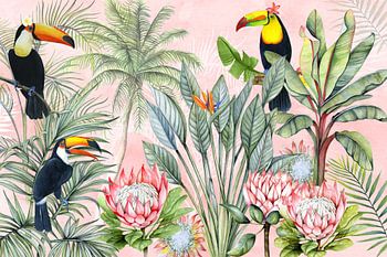 Tropical forest toucan