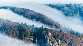 Vosges landscape by Stijn Smits