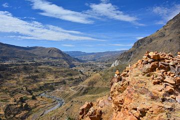 Colca-Schlucht in Peru, Südamerika von Bianca Fortuin