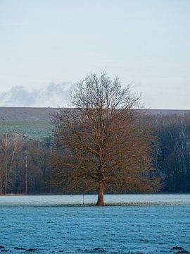 boom van snippephotography